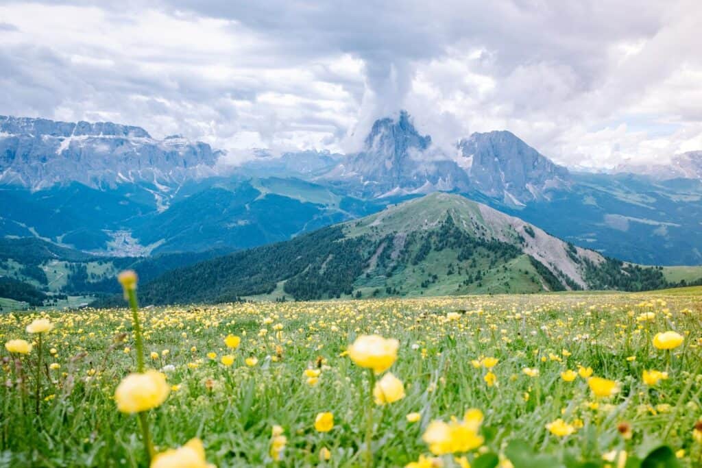 hiking in the Italien Dolomites, Amazing view on Seceda peak. Trentino Alto Adige, Dolomites Alps, South Tyrol, Italy, Europe. Odle mountain range, Val Gardena. Majestic Furchetta peak in morning sunlight. Italy